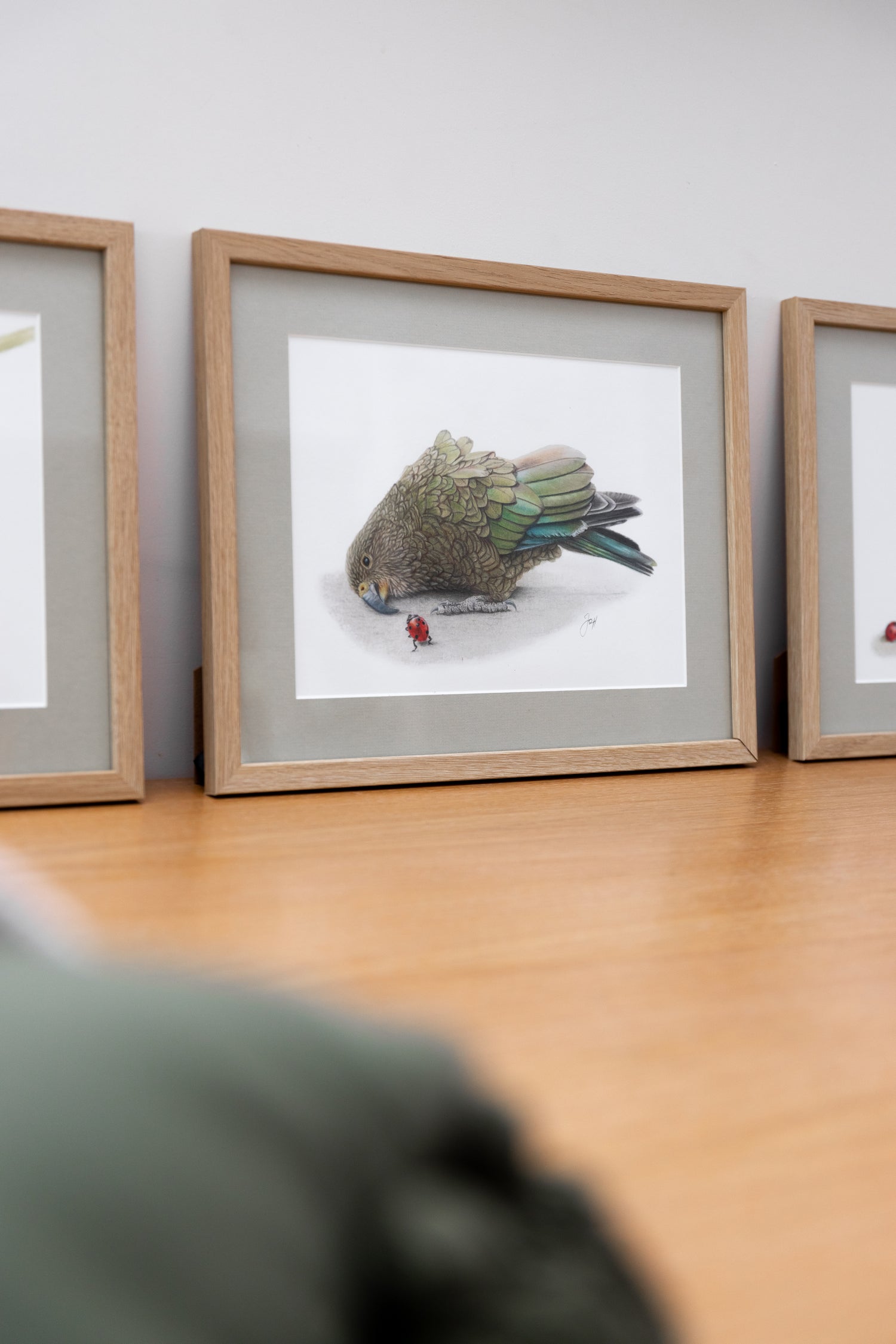 Framed print of a Kea from Daisy Jo's NZ Natives Collection