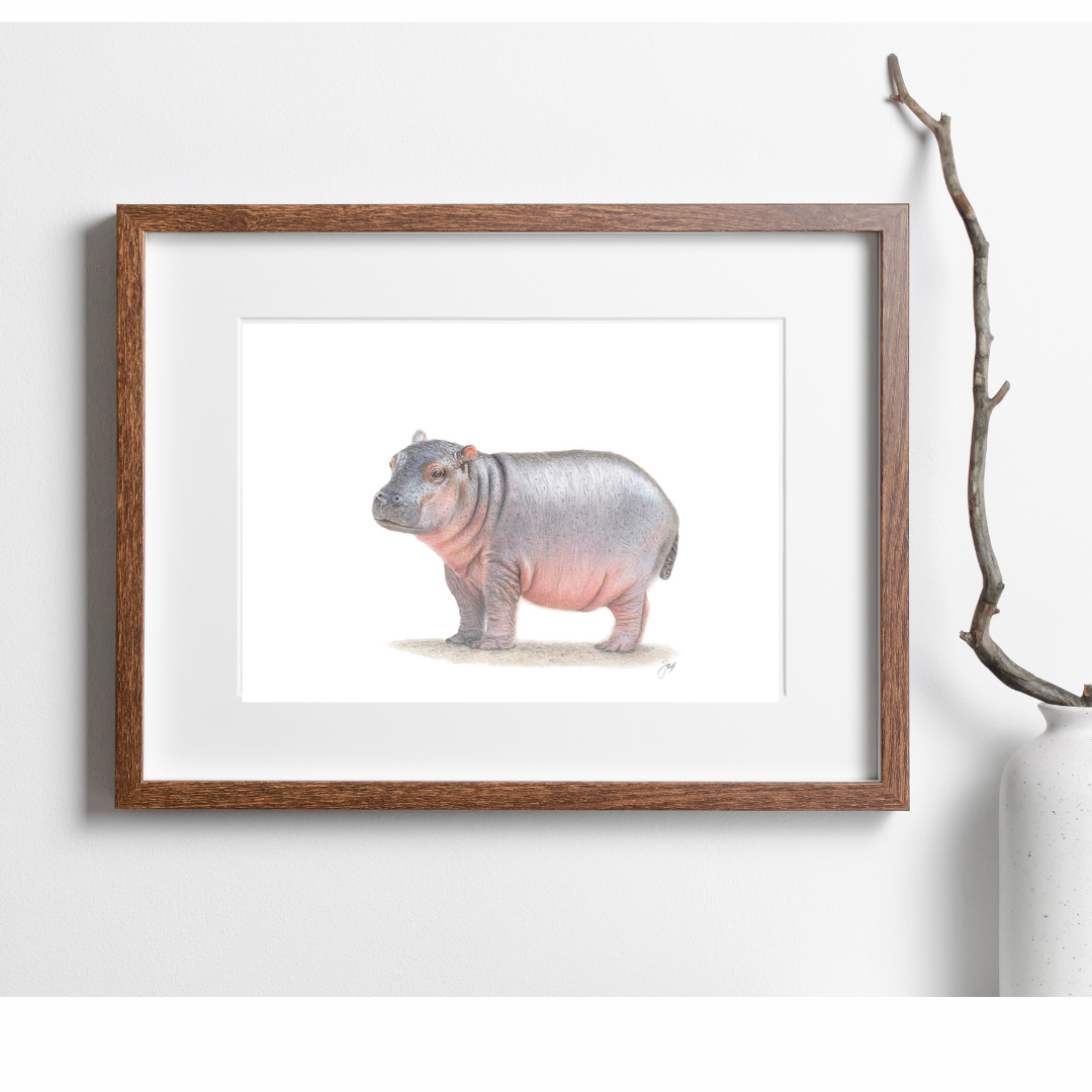 Safari Hippo - Landscape