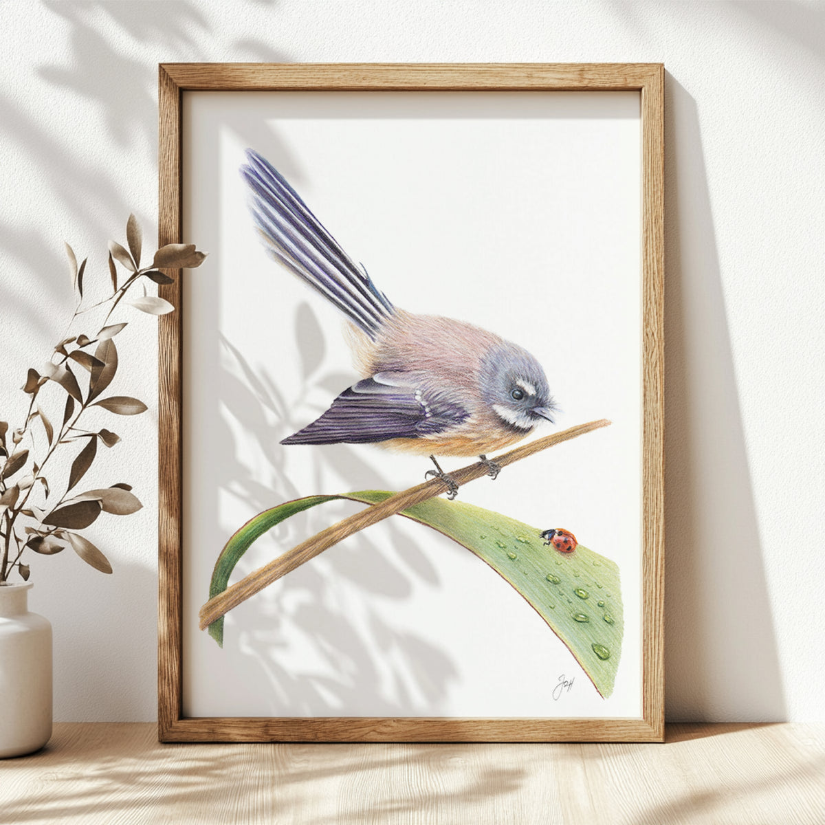 NZ Native Fantail