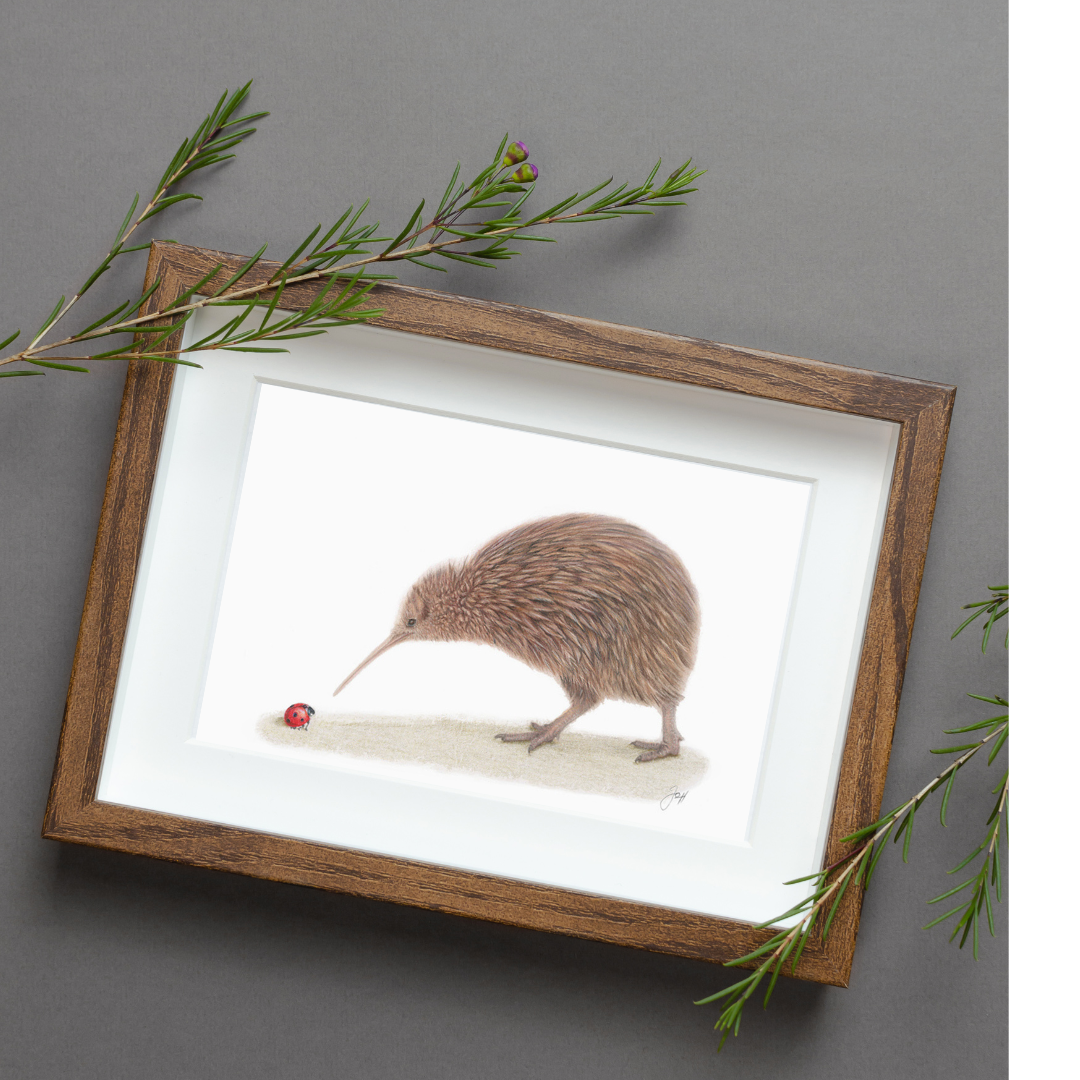 Framed print of Kiwi from the Daisy Jo Fine Art NZ Natives Collection