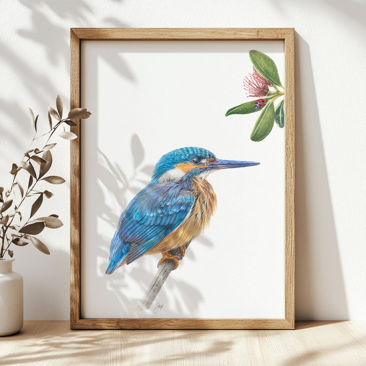 NZ Native Kingfisher