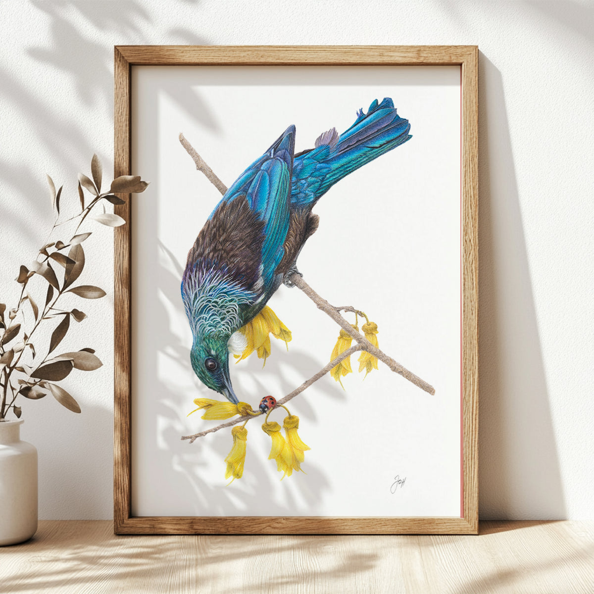 NZ Native Tui