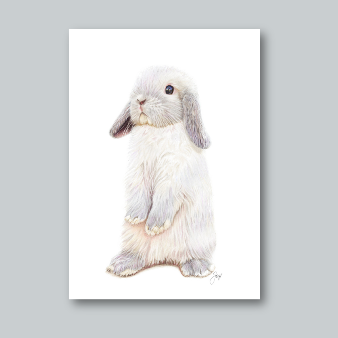 Alfie print from the Daisy Jo Fine Art Bunnies Collection