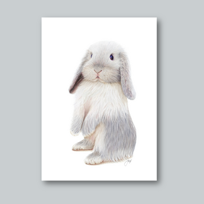 Chester print from the Daisy Jo Fine Art Bunnies Collection