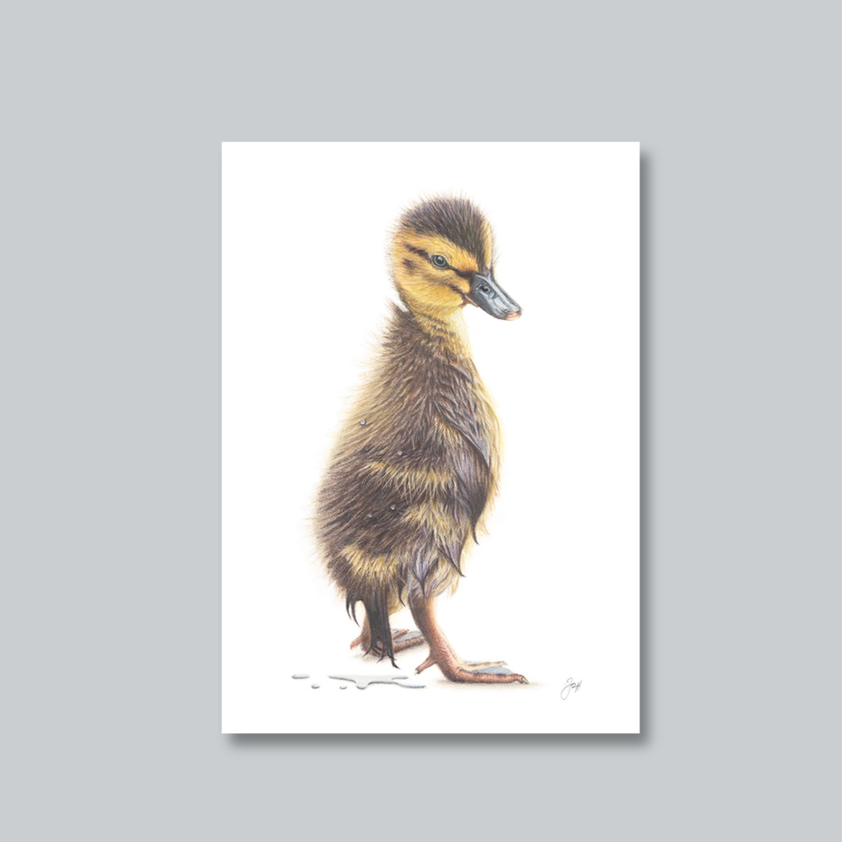 "Splish Splash" Baby Duckling Nursery Art Print