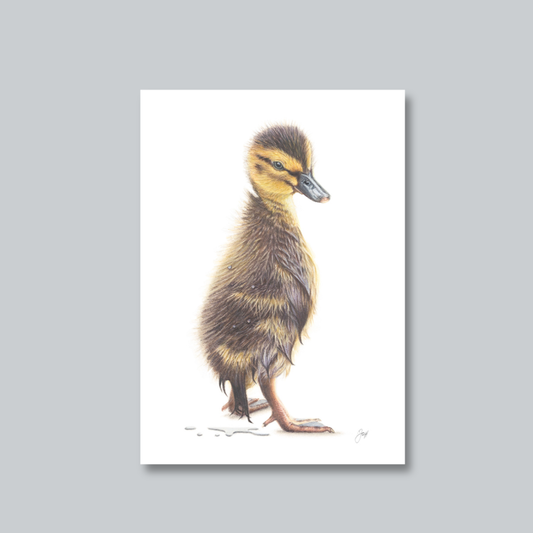 "Splish Splash" Baby Duckling Nursery Art Print