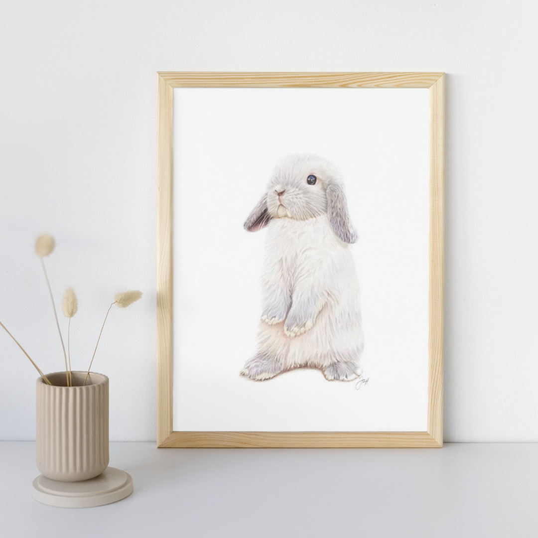 Framed print of Alfie the bunny on a tabletop
