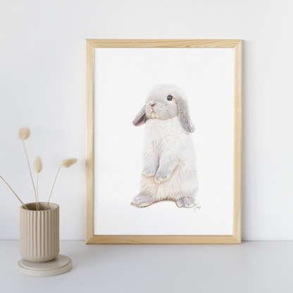 Framed print of Alfie the bunny on a tabletop