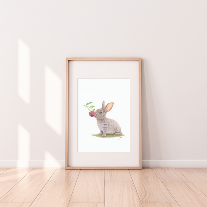 Framed Woodland Rabbit print with window light cast onto the frame