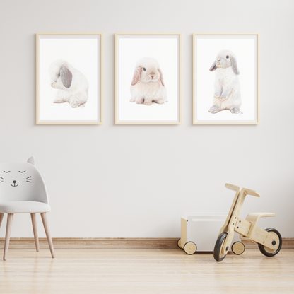 Framed prints of Alice, Snowball and Alfie on a nursery wall