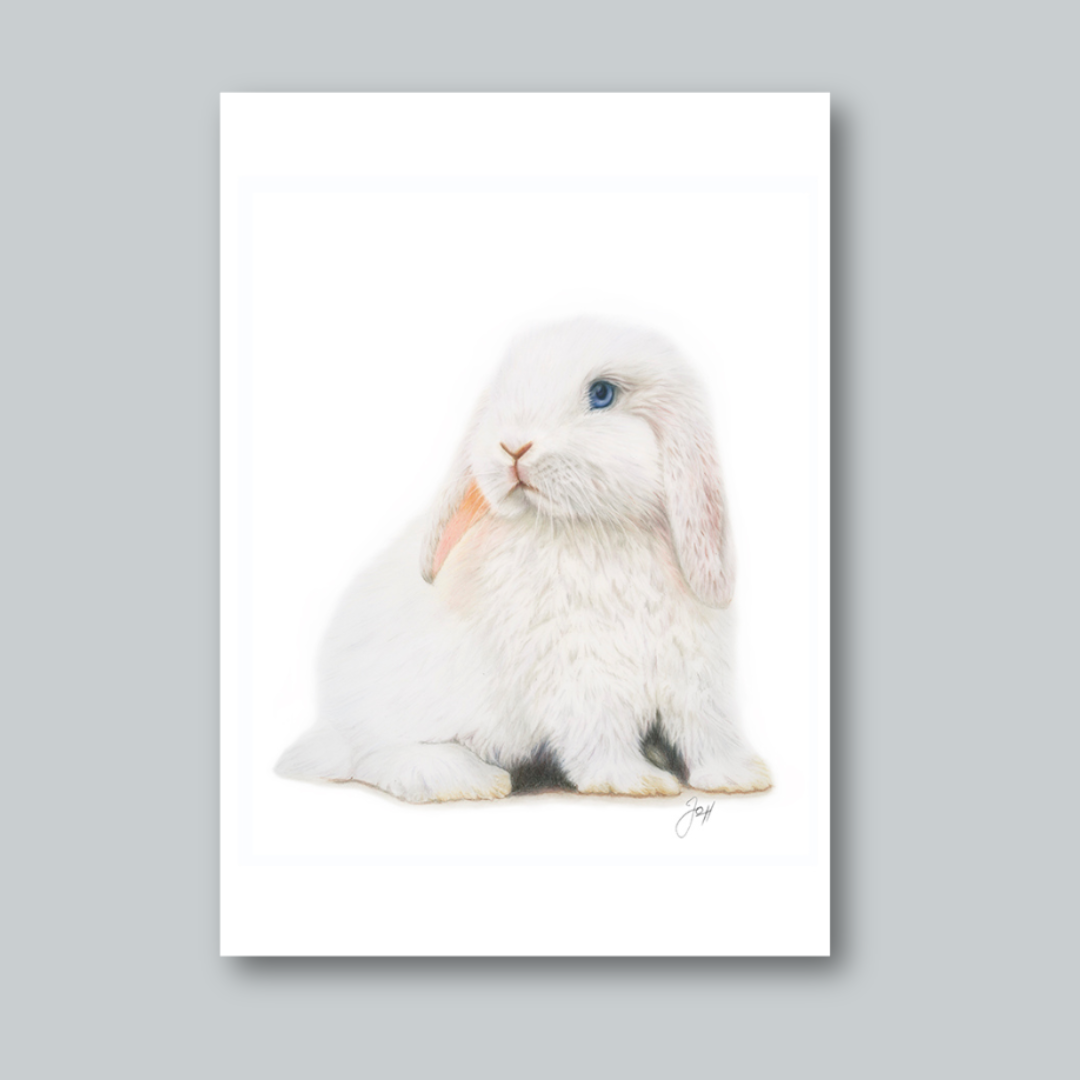 Lily print from the Daisy Jo Fine Art Bunnies Collection