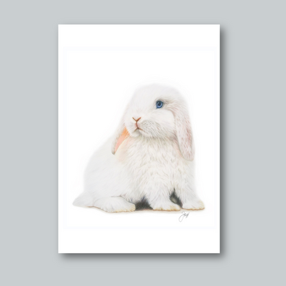 Lily print from the Daisy Jo Fine Art Bunnies Collection