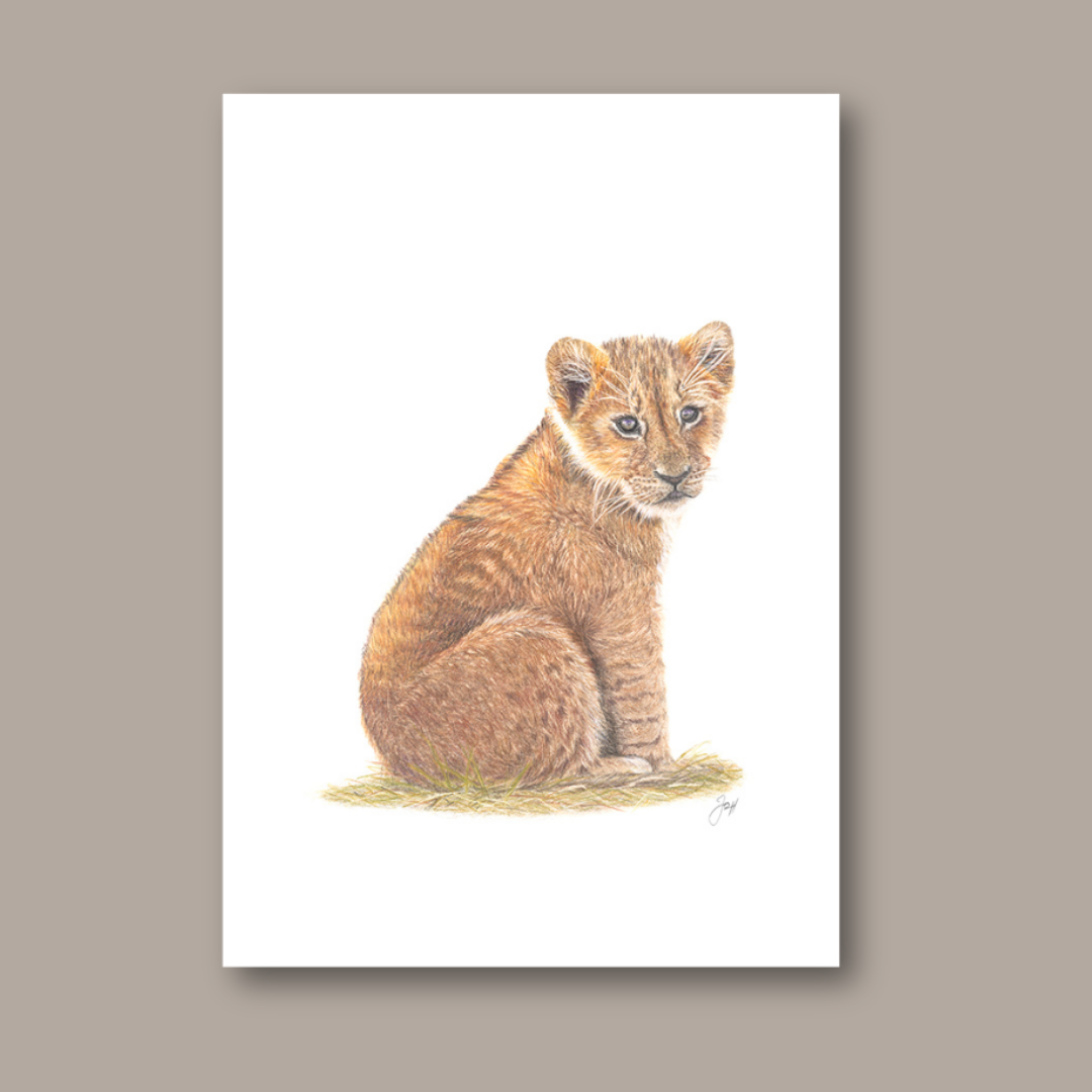 Safari Lion Cub