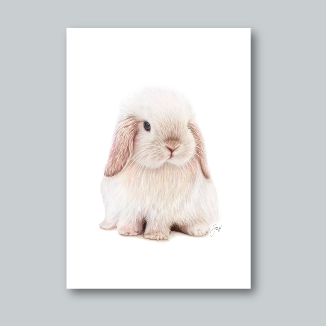 Snowball print from the Daisy Jo Fine Art Bunnies Collection