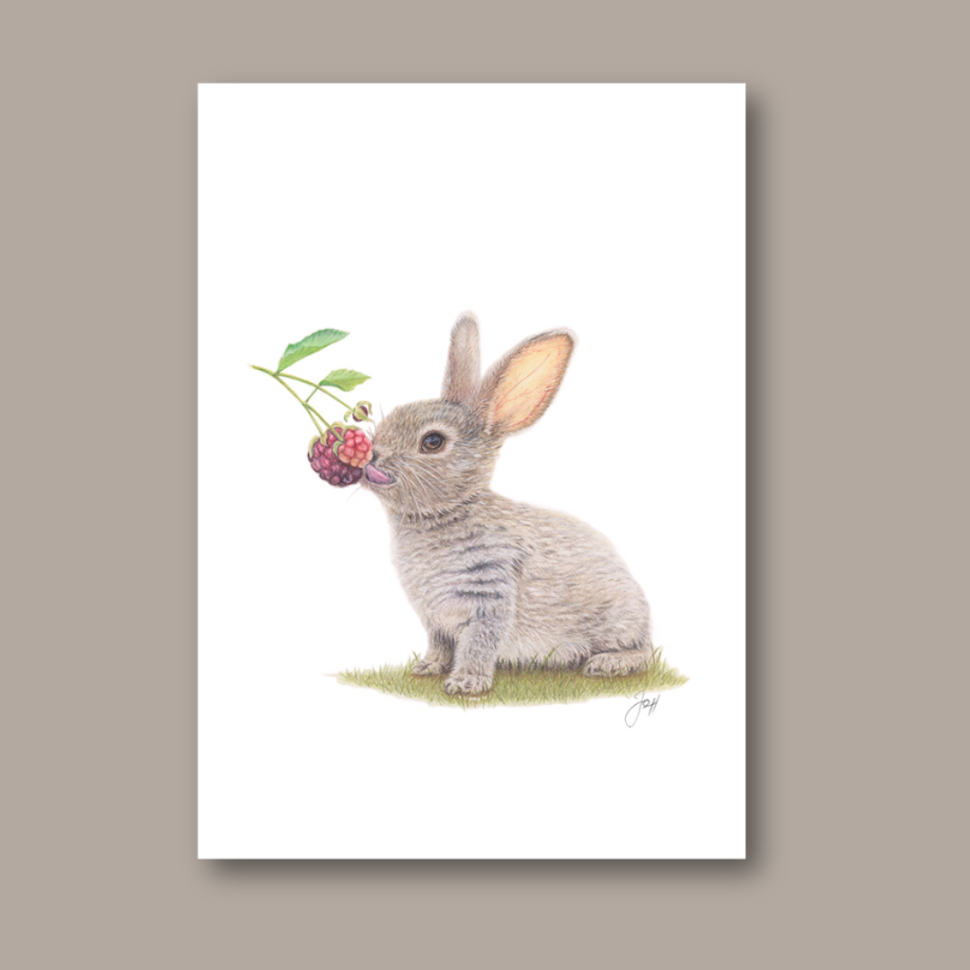 Rabbit print from the Daisy Jo Fine Art Woodland Collection
