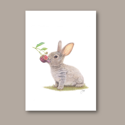 Rabbit print from the Daisy Jo Fine Art Woodland Collection