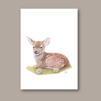 Fawn print from the Daisy Jo Fine Art Woodland Collection 