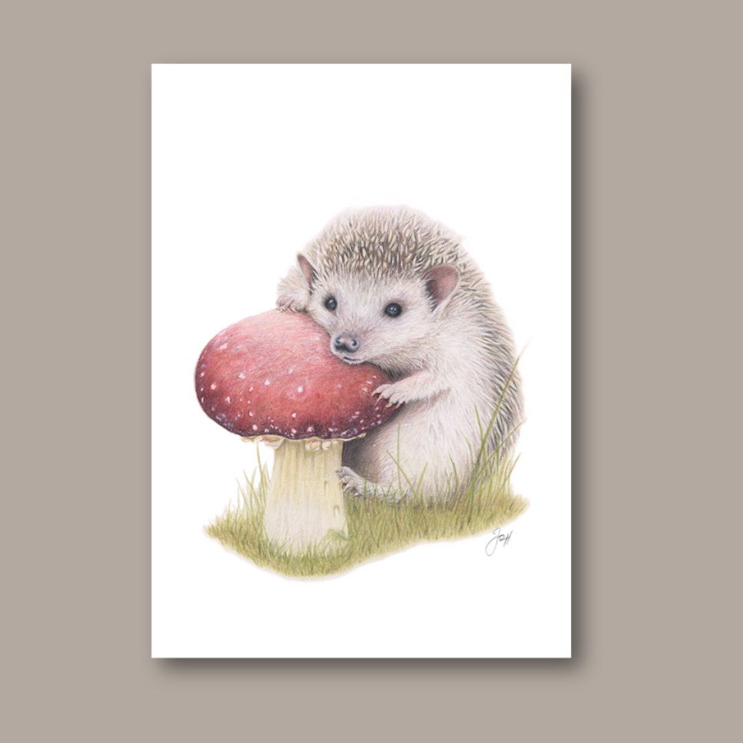 Hedgehog print from the Daisy Jo Fine Art Woodland Collection
