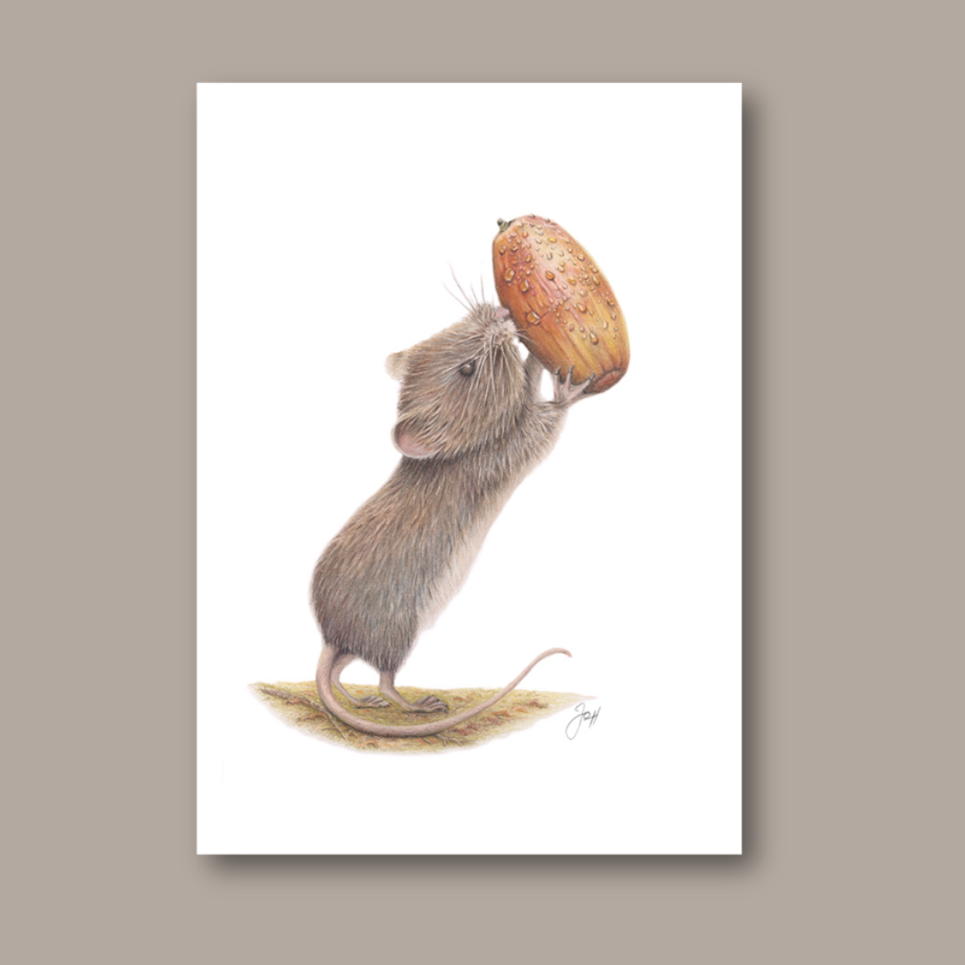 Mouse print from the Daisy Jo Fine Art Woodland Collection