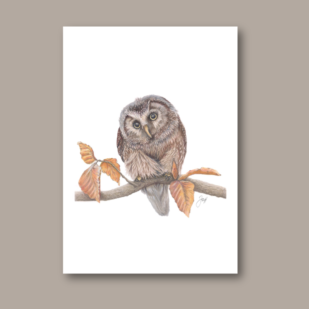 Owl print from the Daisy Jo Fine Art Woodland Collection