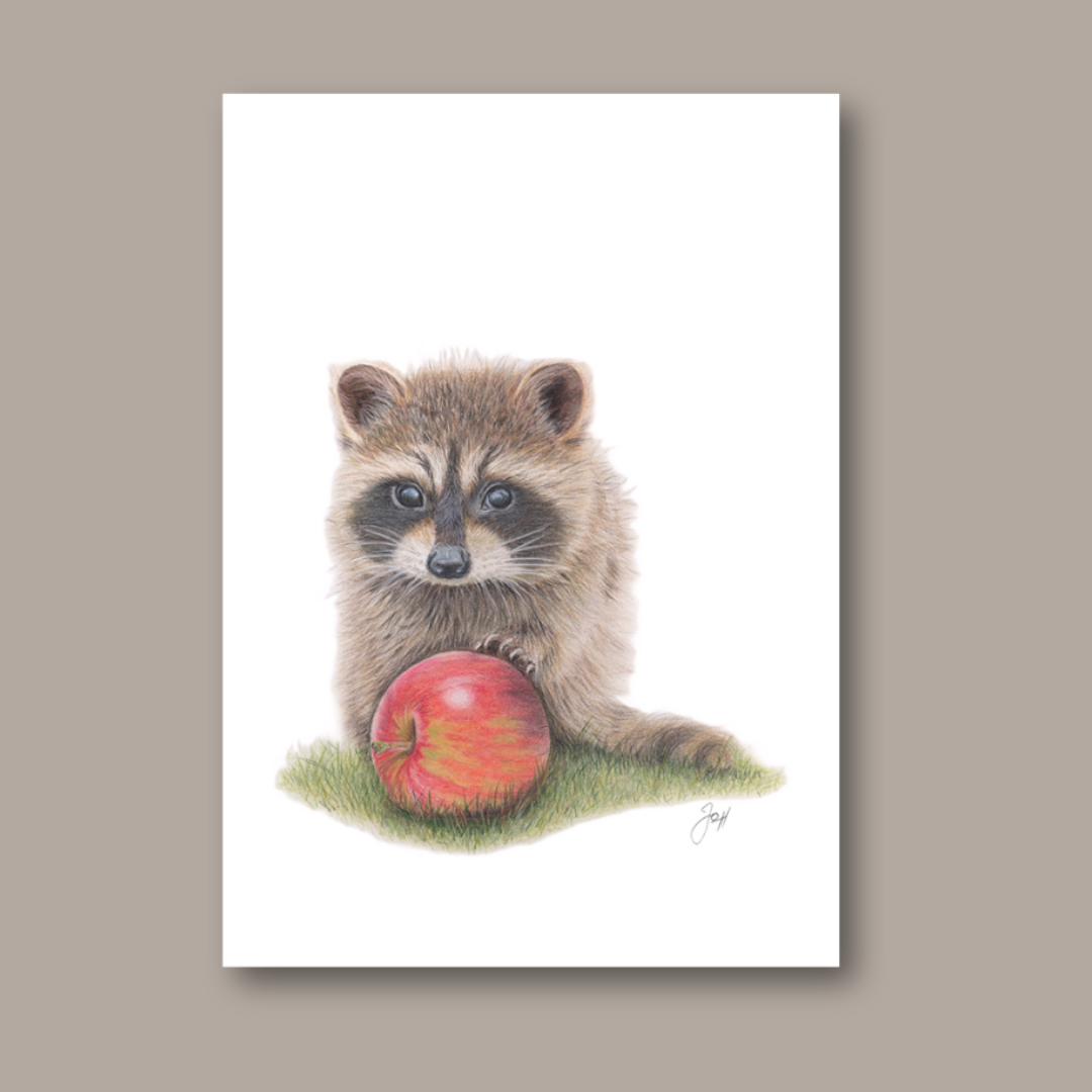 Raccoon print from the Daisy Jo Fine Art Woodland Collection
