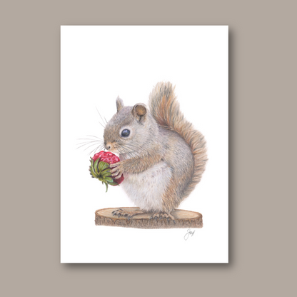 Squirrel print from the Daisy Jo Fine Art Woodland Collection